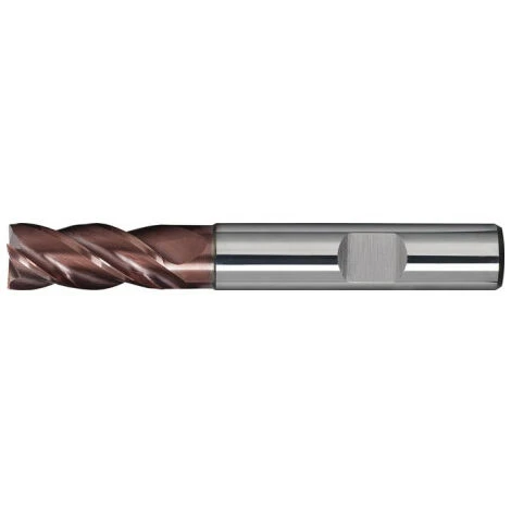 FP Fraise Deux Tailles DIN 6527 L D. 5 mm, Garniture 19 mm VHM TiAlN D - Fraise Pour Défonceuse, Affleureuse Et Toupie 3 FP Fraise Deux Tailles DIN 6527 L D. 5 mm, Garniture 19 mm VHM TiAlN D - Fraise Pour Défonceuse, Affleureuse Et Toupie