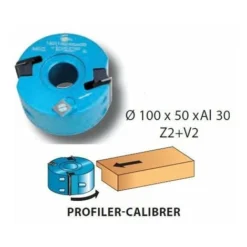 Leman - Porte-outils à Profiler / Feuillurer Diam. 100mm Al. 30 Ht. 50mm Z2+V2 - 093.50.30 | Porte-outils De Toupie -Toupie Soldes 978027 2